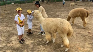 Best Summer Family Vacation Destinations for the June School Holidays - image 9