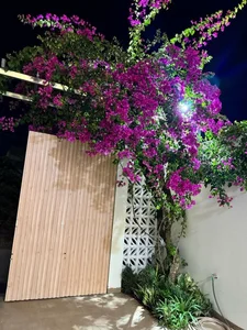 Inside the Beautiful Flower-Filled Home of Ho Ngoc Ha's Personal Assistant - image 3