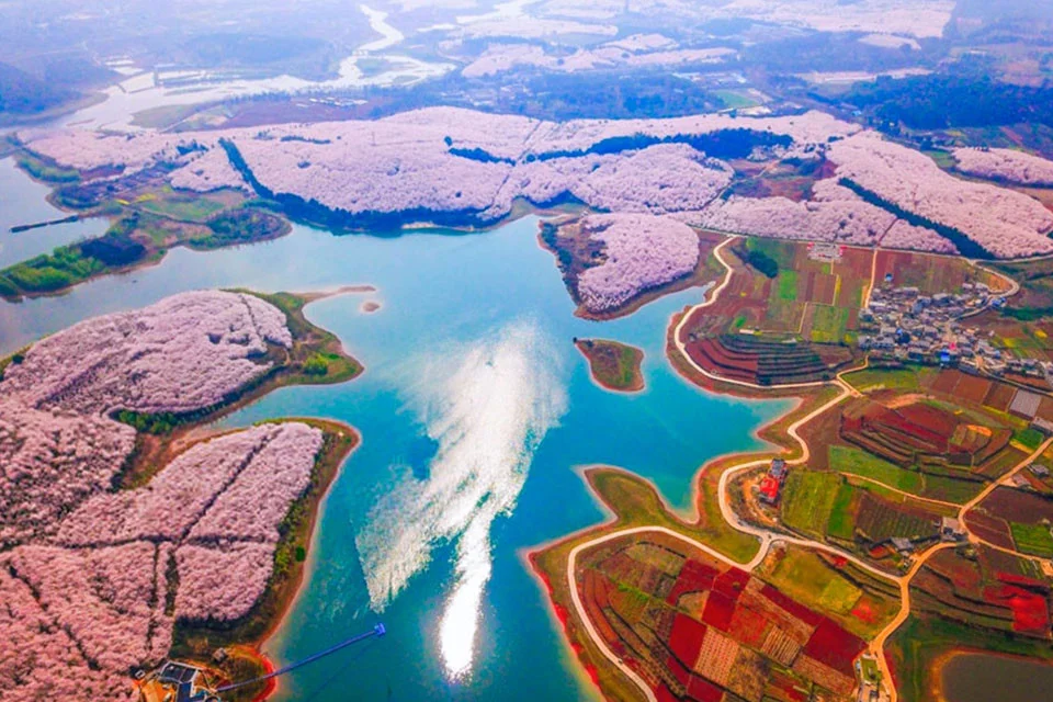 Cherry Blossom Season in China: A Fairytale Landscape You Must See