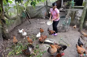 Why Footballer Doan Van Hau Hasn't Built a New House for Parents - image 4