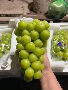 Trending Chinese Fruits Dominating the Vietnamese Market Today - image 4