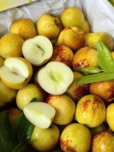 Trending Chinese Fruits Dominating the Vietnamese Market Today - image 3