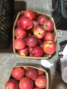 Trending Chinese Fruits Dominating the Vietnamese Market Today - image 9
