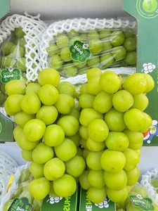 Trending Chinese Fruits Dominating the Vietnamese Market Today - image 1