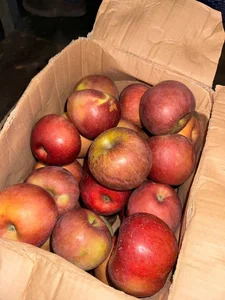 Trending Chinese Fruits Dominating the Vietnamese Market Today - image 8