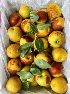 Trending Chinese Fruits Dominating the Vietnamese Market Today - image 0