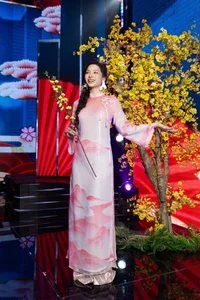 Vietnamese Beauties Celebrate Spring in Traditional Ao Dai Fashion - image 0