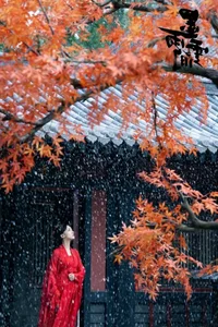 The Double: Meet the Stunning Supporting Beauties of the Hit C-Drama - image 29
