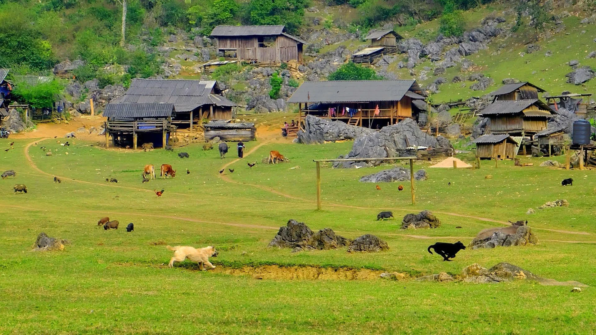 Discover Moc Chau: A 3-Day Travel Guide to Plum Blossoms, Strawberry Farms, and Ancient Villages in Northern Vietnam’s Stunning Highlands