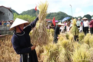 Discover the Mystical Tay Ethnic Village Shrouded in Mist: A Journey Through Lang Son, Vietnam - image 2