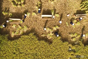 Discover the Mystical Tay Ethnic Village Shrouded in Mist: A Journey Through Lang Son, Vietnam - image 0