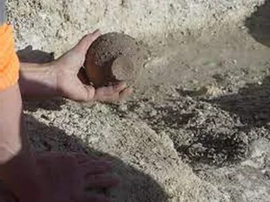 Archaeological Discovery: Experts Uncover Startling Secrets Inside an Ancient Coffin - image 7