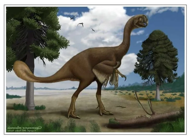 Bizarre Prehistoric Creature Fossil Challenges Traditional Beliefs About Dinosaurs