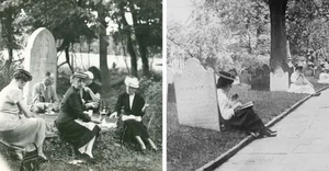 Mind-Bending Facts That Will Completely Change Your Perspective of Reality - image 3