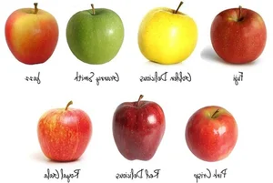 Mind-Bending Facts That Will Completely Change Your Perspective of Reality - image 4