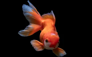 Mind-Bending Facts That Will Completely Change Your Perspective of Reality - image 1