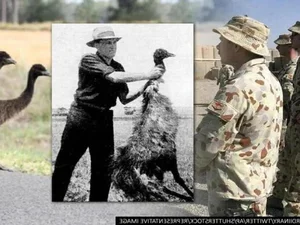 Mind-Bending Facts That Will Completely Change Your Perspective of Reality - image 0