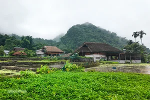 Preserving Tay Culture: Sustainable Tourism in Tha Village in 2026 - image 6
