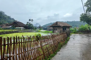 Preserving Tay Culture: Sustainable Tourism in Tha Village in 2026 - image 5
