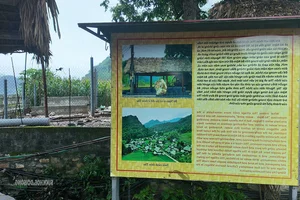 Preserving Tay Culture: Sustainable Tourism in Tha Village in 2026 - image 9