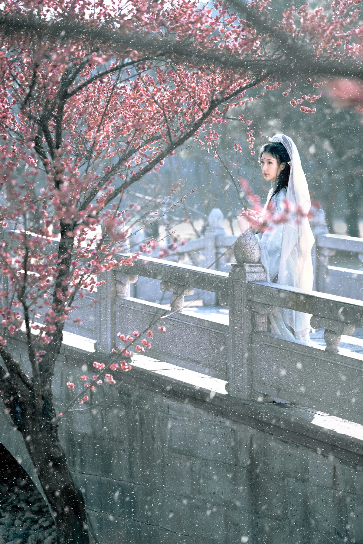 Artistic Portraiture Series: He Li Han in YiTuYu Art Language Vol.9316 – A Timeless Aesthetic Inspired by Classic Literature and Modern Elegance