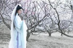 Artistic Portraiture Series: He Li Han in YiTuYu Art Language Vol.9316 – A Timeless Aesthetic Inspired by Classic Literature and Modern Elegance - image 10