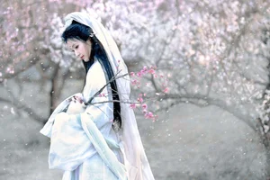 Artistic Portraiture Series: He Li Han in YiTuYu Art Language Vol.9316 – A Timeless Aesthetic Inspired by Classic Literature and Modern Elegance - image 13