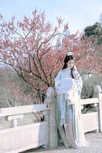 Artistic Portraiture Series: He Li Han in YiTuYu Art Language Vol.9316 – A Timeless Aesthetic Inspired by Classic Literature and Modern Elegance - image 1