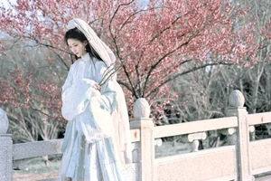 Artistic Portraiture Series: He Li Han in YiTuYu Art Language Vol.9316 – A Timeless Aesthetic Inspired by Classic Literature and Modern Elegance - image 11