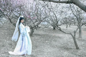 Artistic Portraiture Series: He Li Han in YiTuYu Art Language Vol.9316 – A Timeless Aesthetic Inspired by Classic Literature and Modern Elegance - image 5