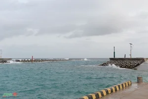 The Economic Vitality of Truong Sa: Ship Locks and Logistics Centers Supporting Fishermen at Sea - image 6
