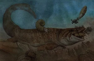Inside the One-of-a-Kind Dinosaur Fossil Collection in Hanoi - image 2
