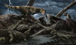 Inside the One-of-a-Kind Dinosaur Fossil Collection in Hanoi - image 0