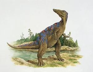 Inside the One-of-a-Kind Dinosaur Fossil Collection in Hanoi - image 3
