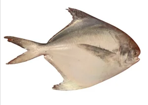 Fascinating Culinary Facts About Southeast Asia's Most Delicious Fish - image 3