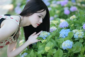 Visual Elegance in YiTuYu Art Language Vol.7293 with Shi Yuan - image 2