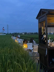 Escape to Nature: The Unique Rice Field Cafe in Thai Binh - image 7