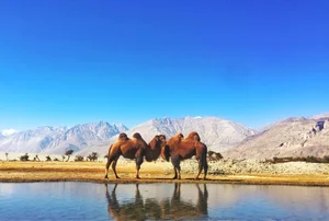 Experience the Breathtaking Beauty of Ta Van Village in Sa Pa, Vietnam: A Must-Visit Destination and One of Asia’s Most Beautiful Hidden Gems - image 1