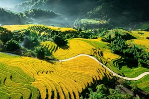 Experience the Breathtaking Beauty of Ta Van Village in Sa Pa, Vietnam: A Must-Visit Destination and One of Asia’s Most Beautiful Hidden Gems - image 5