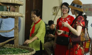 A Journey Through Time: Discovering the South Thang Long Heritage Road - image 4