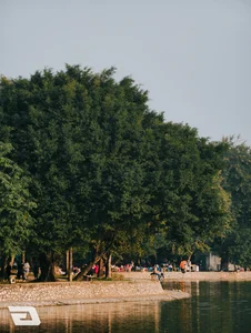 One Week with the Vivo X300 Pro: Testing the Ultimate 10x Zoom Camera - image 20