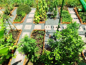 Office Worker Transforms Wetland into a Stunning Dream Garden and Pond - image 7