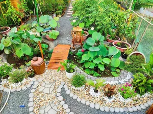 Office Worker Transforms Wetland into a Stunning Dream Garden and Pond - image 1