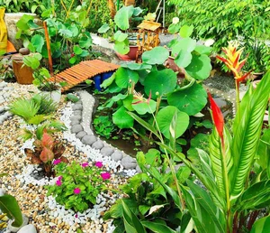 Office Worker Transforms Wetland into a Stunning Dream Garden and Pond - image 4