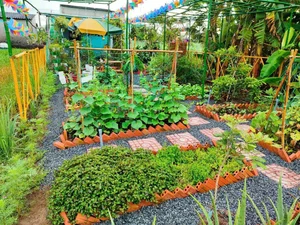 Office Worker Transforms Wetland into a Stunning Dream Garden and Pond - image 8