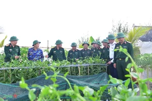 General Staff Delegation Inspects Truong Sa Island District - image 1