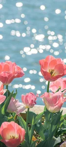 Stunning Nature Wallpapers: High-Resolution Backgrounds for Phones and Tablets - image 80