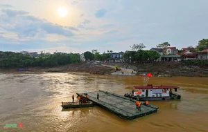 Urgent Preparations for Phong Chau Pontoon Bridge Installation Underway - image 3