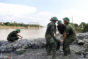 Urgent Preparations for Phong Chau Pontoon Bridge Installation Underway - image 4