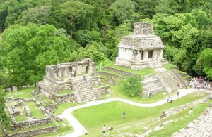 The Shocking Culprit Behind the Maya Collapse: New Archaeological Evidence Revealed - image 6